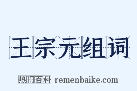 王宗元组词是什么意思的图片
